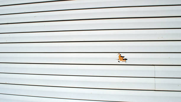 Trusted Troy, NC Siding Installation & Repair Experts